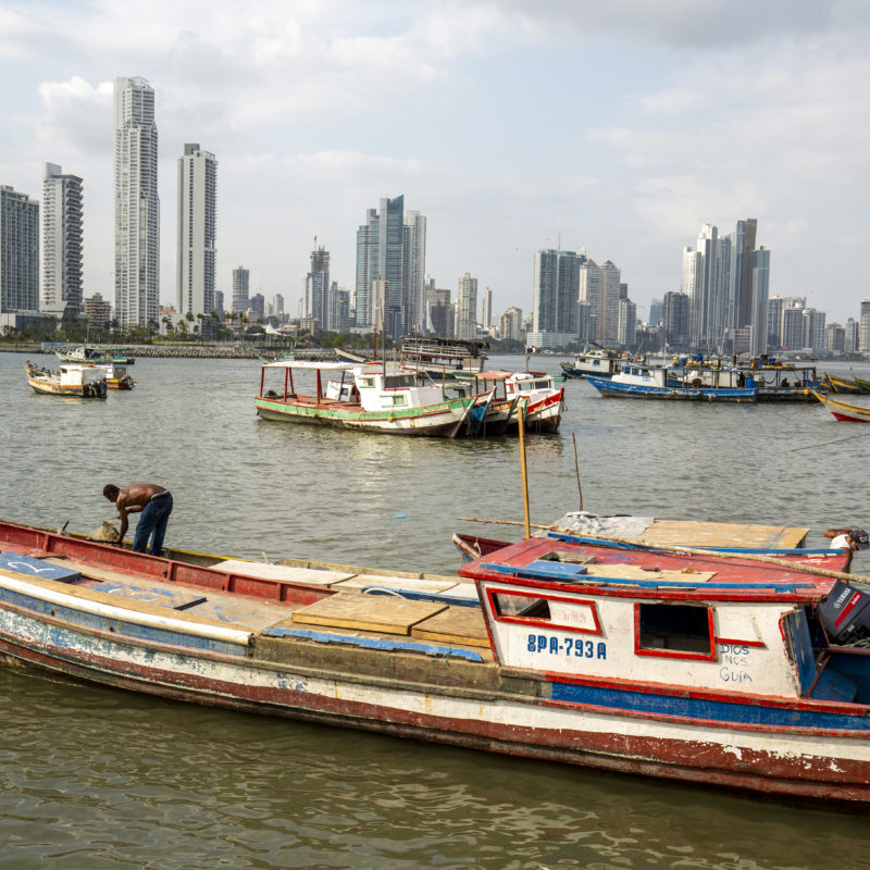 Deep-sea fishing charter boats depart from Panama City, Panama’s downtown docks. The boats are on course for Pacific fishing grounds flush with dorado, wahoo and prized marlin. Boats also head out to spot humpback whales, as Panama has two whale-watching seasons.